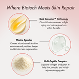 Dual Exosome Repair Shot